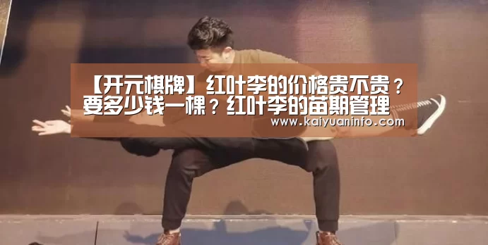 【开元棋牌】红叶李的价格贵不贵?要多少钱一棵?红叶李的苗期管理四要点!(图4) 开元平台