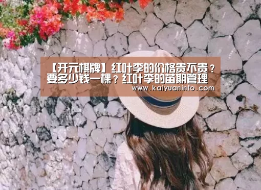 【开元棋牌】红叶李的价格贵不贵?要多少钱一棵?红叶李的苗期管理四要点!(图2) 开元棋牌