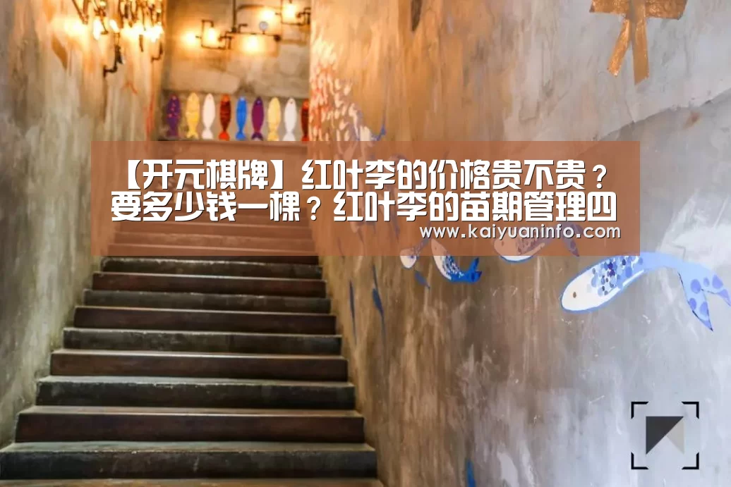 【开元棋牌】红叶李的价格贵不贵?要多少钱一棵?红叶李的苗期管理四要点!(图1) 开元棋牌