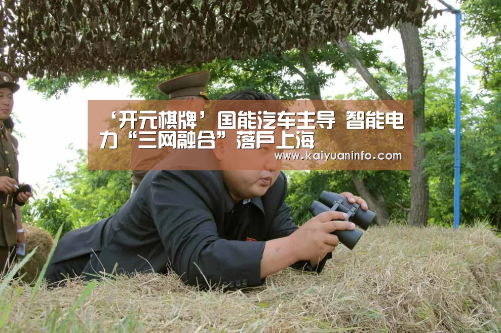 ‘开元棋牌’国能汽车主导 智能电力“三网融合”落户上海(图1) 开元平台