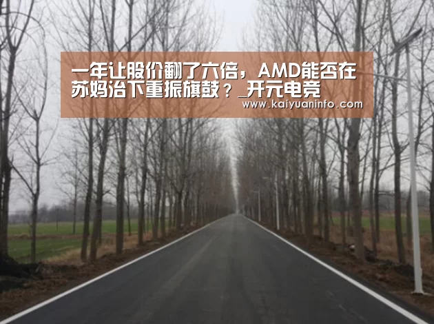 一年让股价翻了六倍,AMD能否在苏妈治下重振旗鼓?_开元电竞(图1) 开元电竞