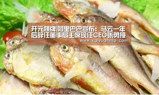 开元棋牌|阿里巴巴宣布:马云一年后辞任董事局主席现任CEO张勇接棒(图2) 开元赛事