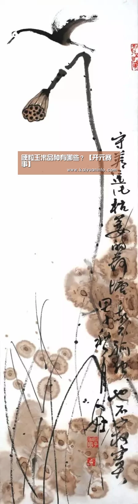 硬粒玉米品种有哪些?【开元赛事】(图1) 开元电竞