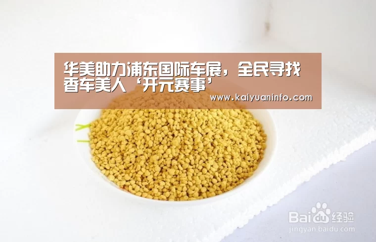 华美助力浦东国际车展,全民寻找香车美人‘开元赛事’(图1) 开元电竞