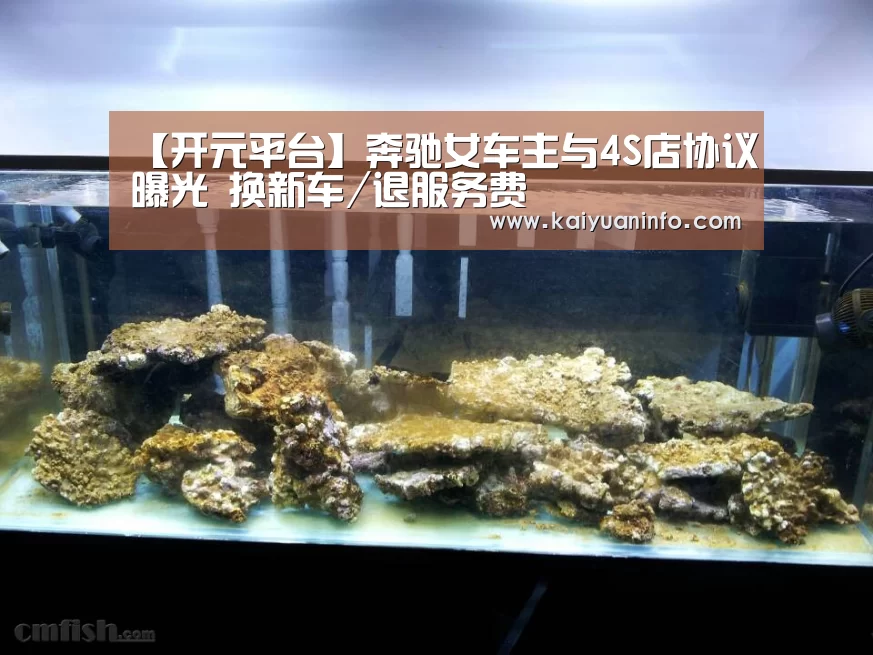 开元棋牌