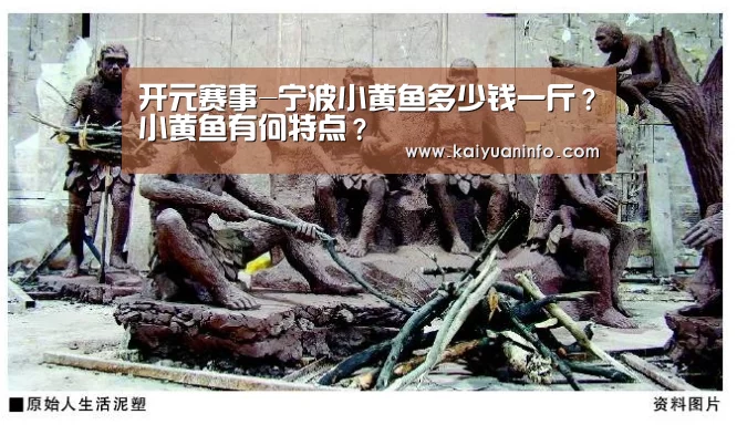 开元赛事-宁波小黄鱼多少钱一斤?小黄鱼有何特点?(图2) 开元棋牌