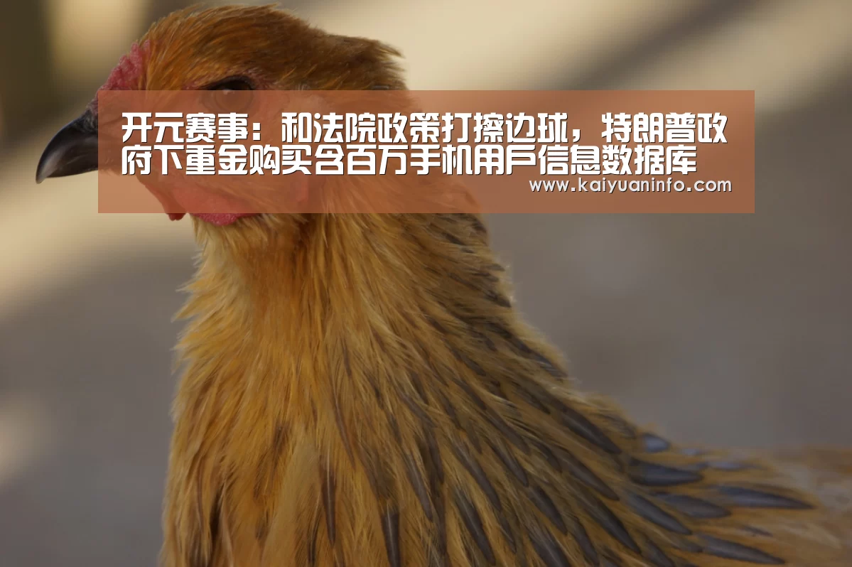 开元赛事:和法院政策打擦边球,特朗普政府下重金购买含百万手机用户信息数据库(图1) 开元电竞